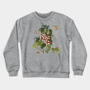 Botanical illustration of a plant, butterflies, snail and ladybugs Crewneck Sweatshirt